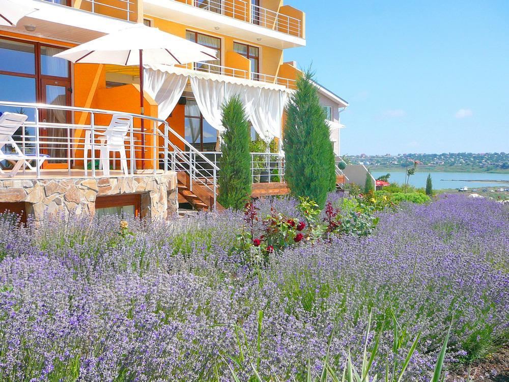Lavanda Wapnjarka